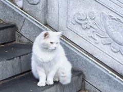 -六鼎山文化旅游区