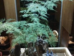 -向阳庄烧烤店(望京西园店)