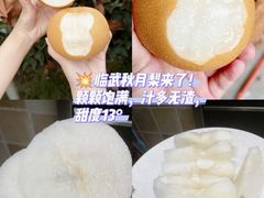 -郴州特产舜华临武鸭(郴州西站店)