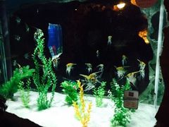-洛阳龙门海洋馆