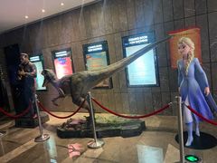 -武商摩尔影城(国广IMAX激光店)