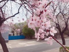 -吉林大学(南岭校区)