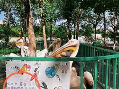 -水上乐园·欢乐世界