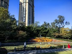 -中山公园