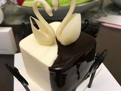 -BLACKSWAN黑天鹅(环球店)