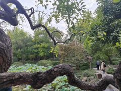 -秋霞圃