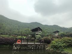 -桃花岭景区