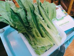 -麻奢鸽农庄·梦里水乡