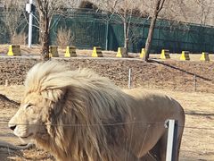-秦皇岛野生动物园