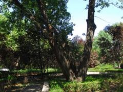 景点-西安市长乐公园