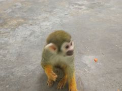 -西安秦岭野生动物园