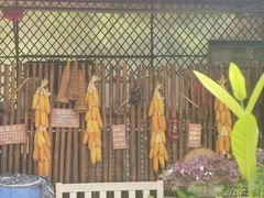 -天然居(伦教店)