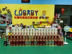 -长春乐奇平衡车儿童体能运动中心