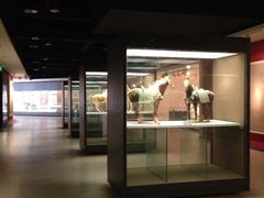 唐三彩-西安大唐西市博物馆