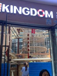 -PIPIKINGDOM皮皮王国欢乐号(欢乐海岸购物中心店)