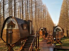 -黄海国家森林公园