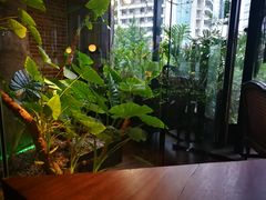 -良木缘咖啡西餐(文殊院店)