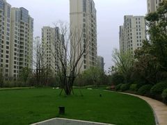 小区环境-仁恒西郊花园