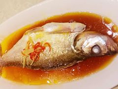 太湖野生白鱼-尚岛私房菜(西方巷店)