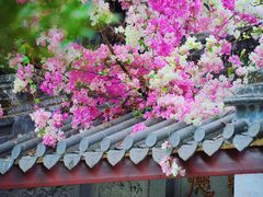 -深圳国际园林花卉博览园