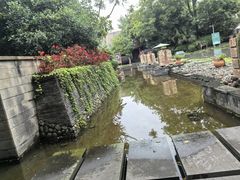 -老房子金沙元年川菜食府·花园餐厅(金沙店)
