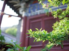 -北京上方山国家森林公园