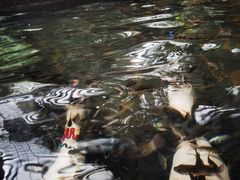 -龙达温泉生态城