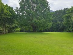 -深圳仙湖植物园