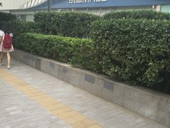 -凯德MALL(望京店)