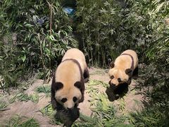 -长江文明馆