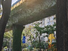 -溪岸路花鸟市场