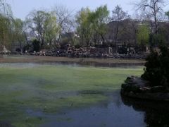 -莲湖公园