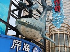 -大连圣亚海洋世界