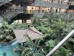 -黑龙江中医药大学附属第一医院