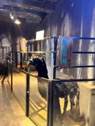 -酷嗒动物文化乐园(cutezoo西溪乐天城店)