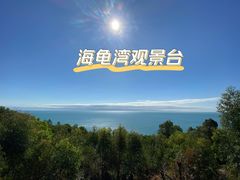 -广东惠东海龟国家级自然保护区