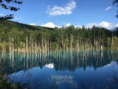 -富田农场