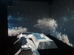 -火影忍者动画多媒体展