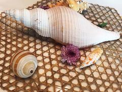 -潮汕味道·煮海餐厅(金麟大厦店)