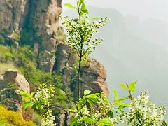 -白草畔自然风景区