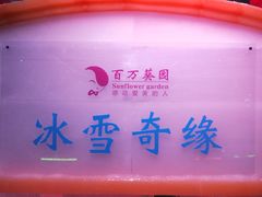 -百万葵园
