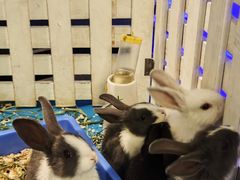 -太平洋海底世界