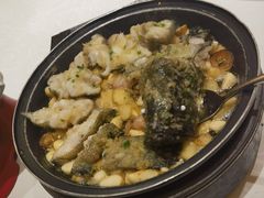 -锦粤宫·精致粤菜(深圳北站店)