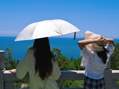 -广东惠东海龟国家级自然保护区