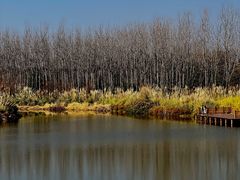 -西昌邛海湿地