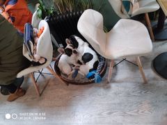 -小时光咖啡馆(北锣鼓巷店)