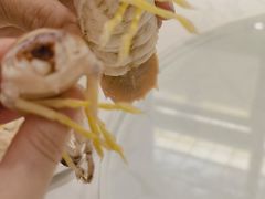 -大东海海鲜酒楼(渔人码头总店)