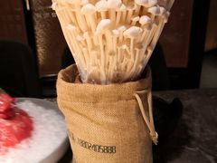 -麻路成都火锅(柏威年店)