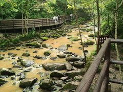 -茅兰沟国家森林公园