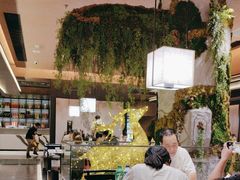 -阿露佳·舌尖上的安吉菜